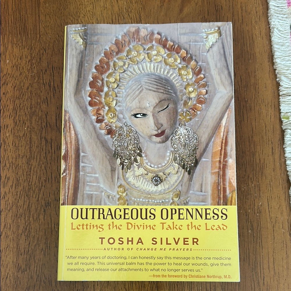 Outrageous Openness Book by Tosha Silver